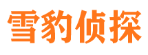 内蒙古市调查公司